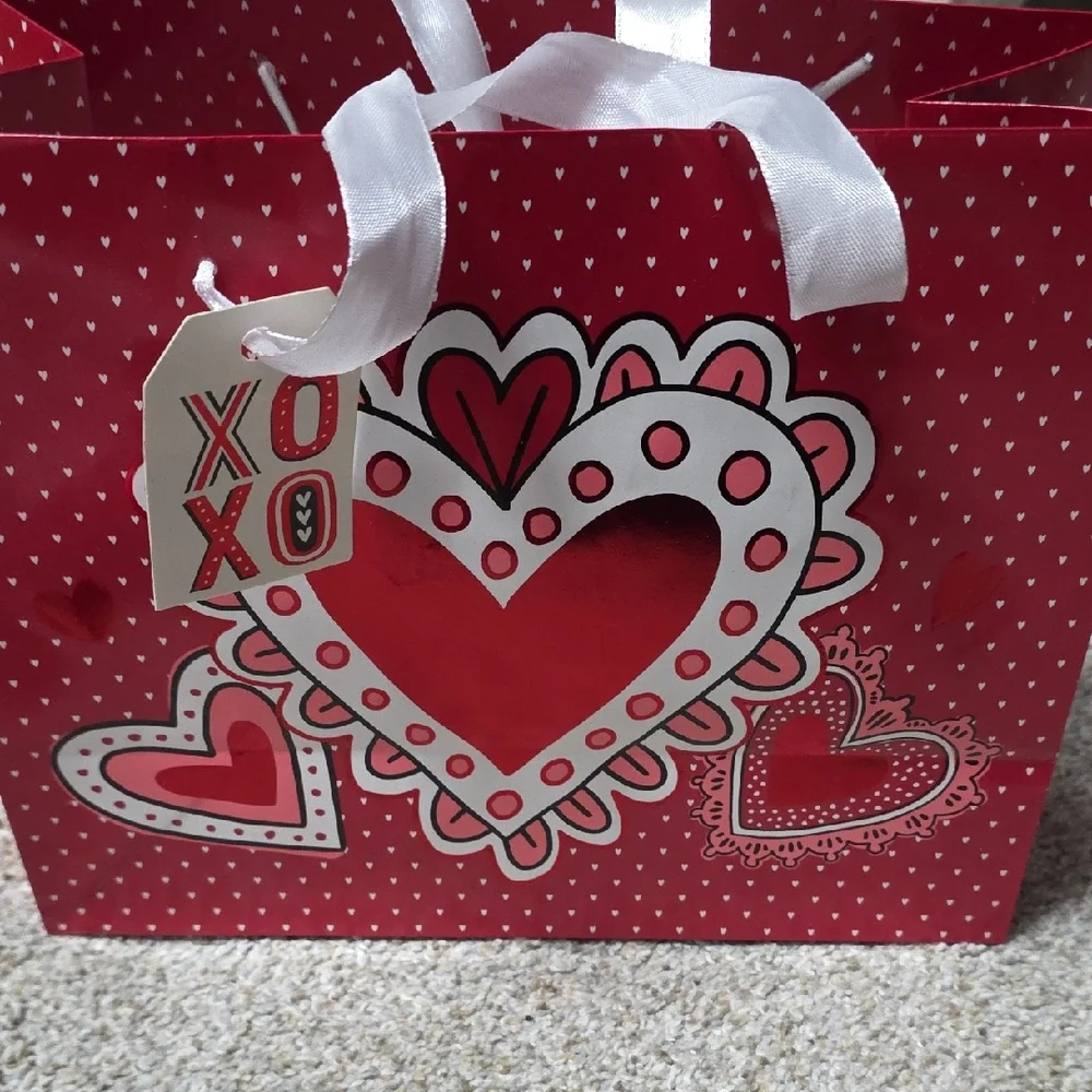 Celebrate It Valentine's Day Gift Bags - Red, Pink, White